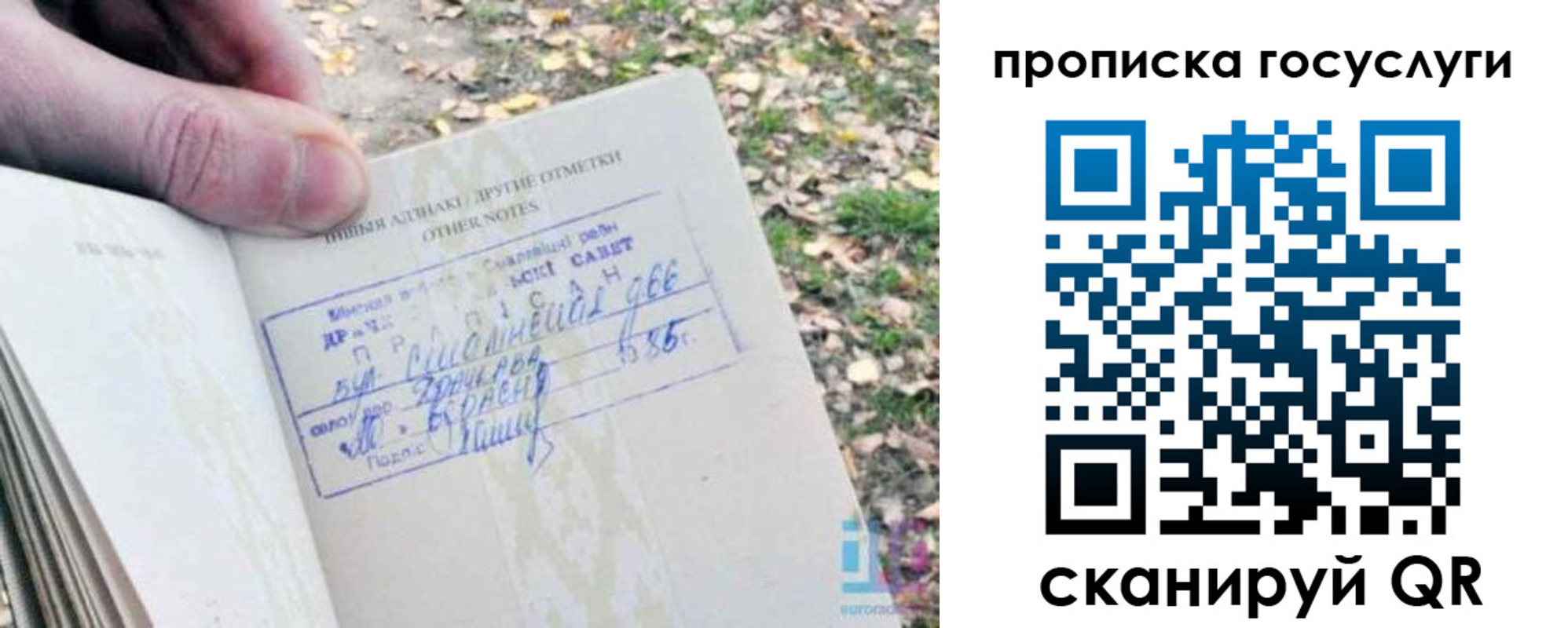 временная регистрация собственник в Чкаловске
